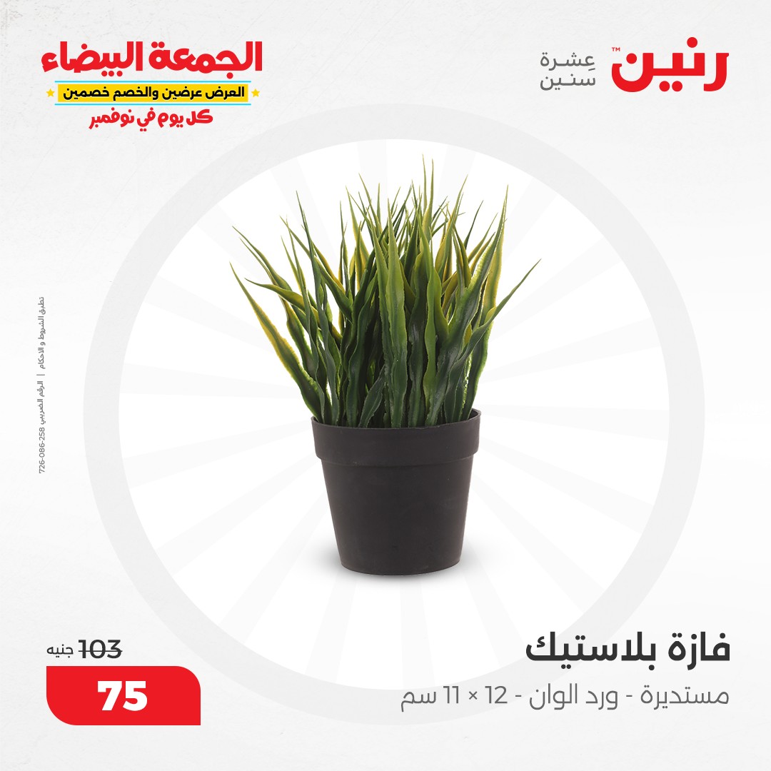 raneen offers from 9nov to 20nov 2024 عروض رنين من 9 نوفمبر حتى 20 نوفمبر 2024 صفحة رقم 37